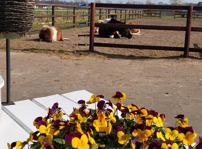 Achter Ons Bed & Breakfast 4*